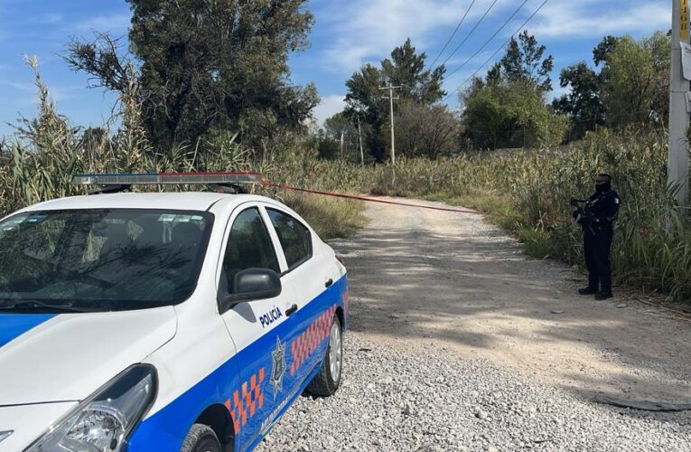 Continúan investigando hallazgo de cuerpos en San Juan del Río: AMLO