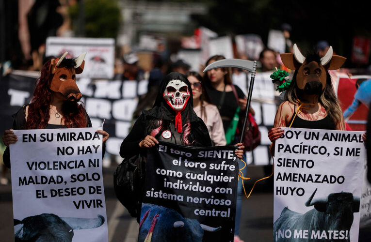 VIDEO | Antitaurinos se manifiestan contra el regreso de las Corridas de Toros