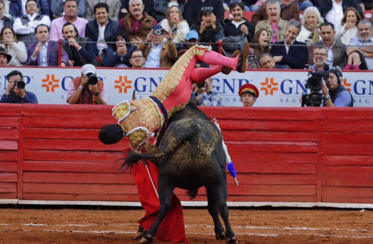 Torero Héctor Gutiérrez fue herido por un toro en la México y el internet reacciona