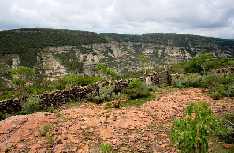 La historia detrás de la barranca de los pilones en Colón