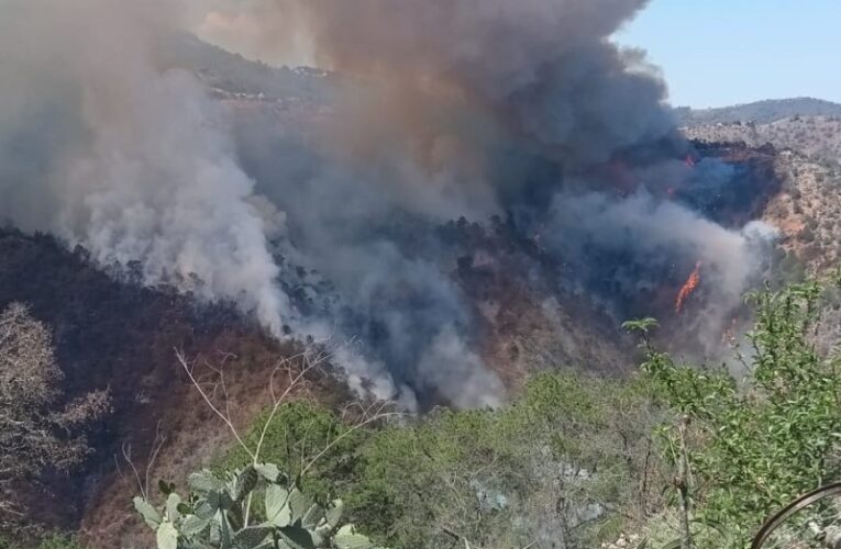 Combate PC incendio forestal en San José Tepozán en Cadereyta