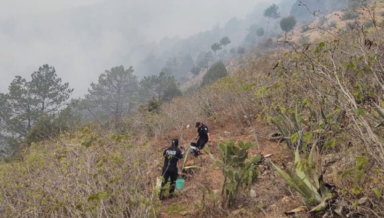 PC logra sofocar incendio en Tepozán, Cadereyta