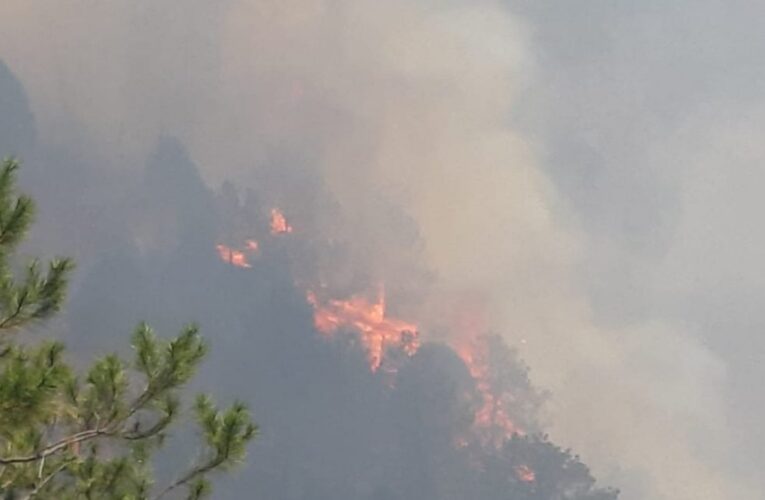 Continúan labores para combatir incendio forestal en Cadereyta