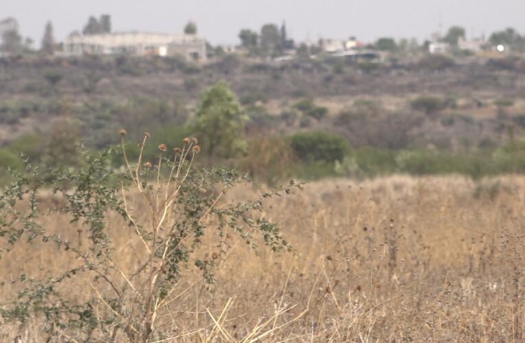 Declaran estado de emergencia por sequía en Querétaro