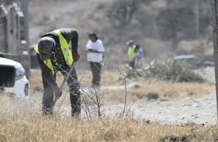 Realizan infractores trabajos comunitarios en Corregidora