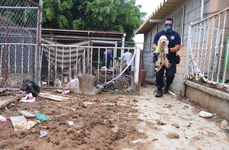 Multan con más de 35 mil pesos a refugio de animales en Querétaro