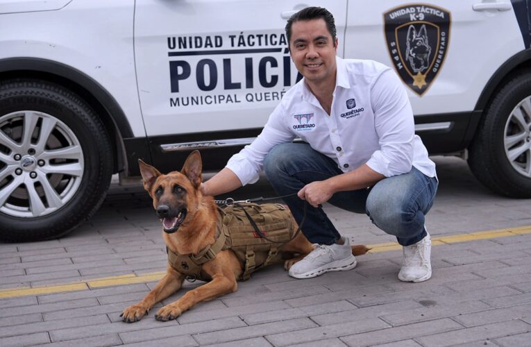 Incorpora Felifer Macías 12 nuevos caninos al grupo K9