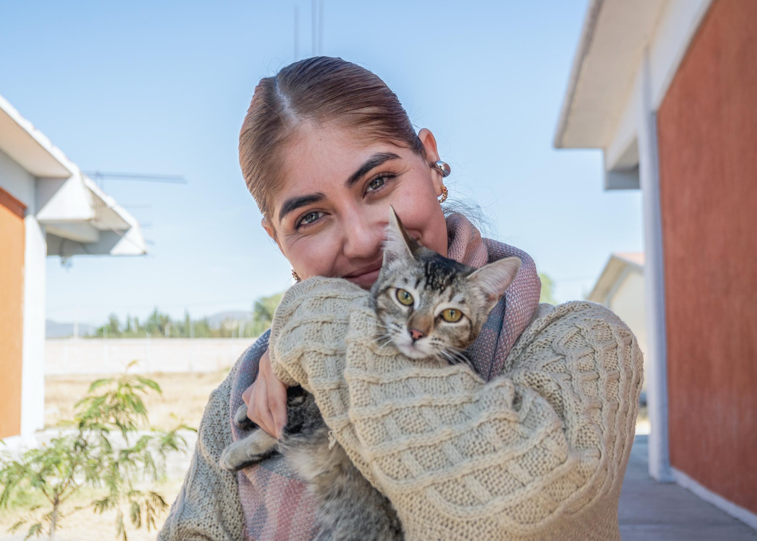 El Marqués reduce los índices de abandono y maltrato animal