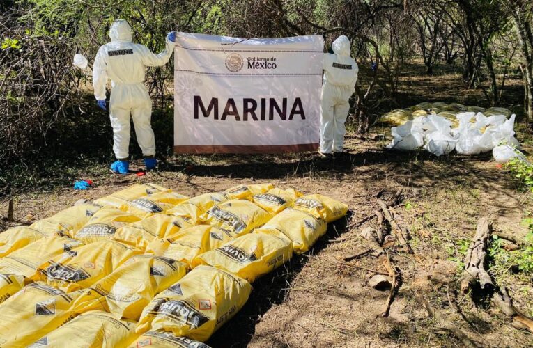 Personal de la Armada de México localizó y neutralizó un laboratorio clandestino en el estado de Sinaloa