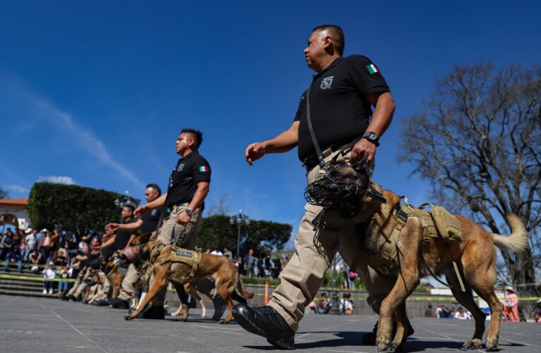 Unidad Canina UAQ: 7 años de proteger los espacios universitarios