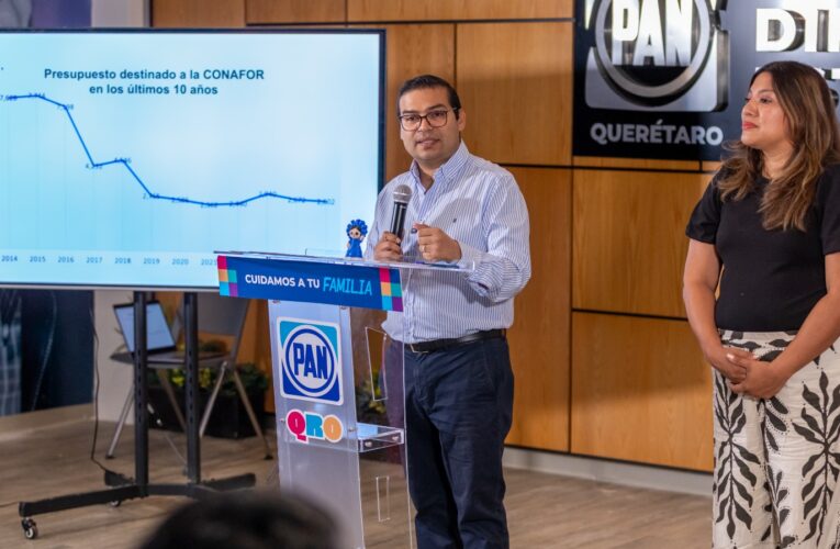 Ante incremento de incendios forestales, PAN reprocha reducción de presupuesto a Conafor