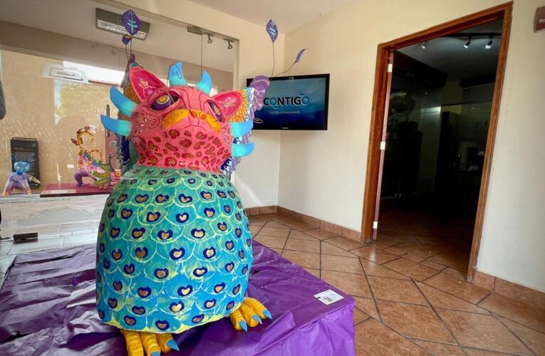 Llega la muestra «Alebrijes» al Museo Histórico de la Sierra Gorda