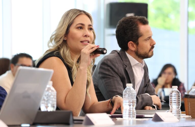 Andrea Tovar rechaza dictamen de reforma a modo