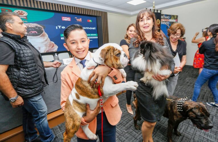 Alistan la Expo Canina 2025