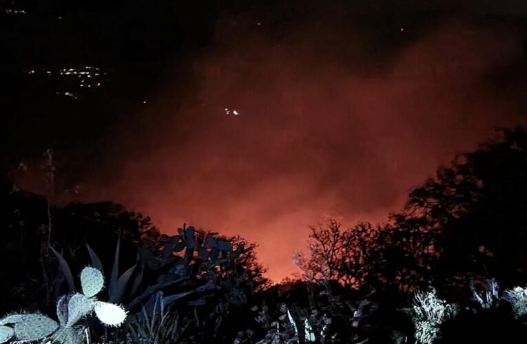 Acumula Querétaro 4 mil hectáreas afectadas por incendios forestales en 2025