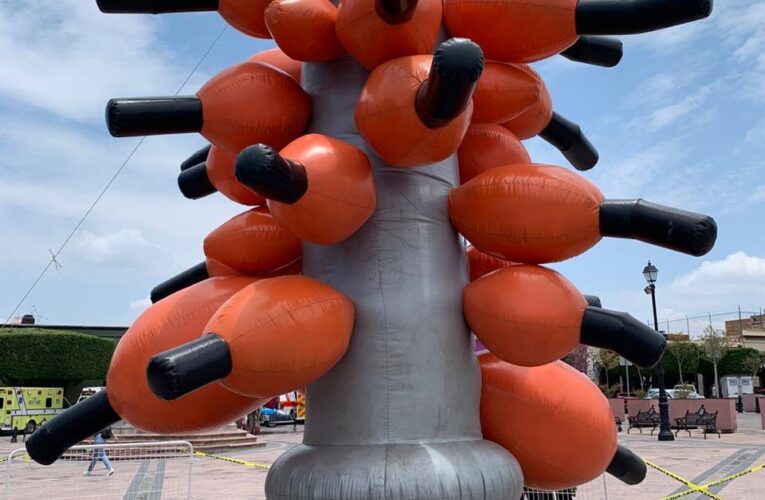 MACQ presenta tres nuevas exposiciones que celebran la diversidad artística