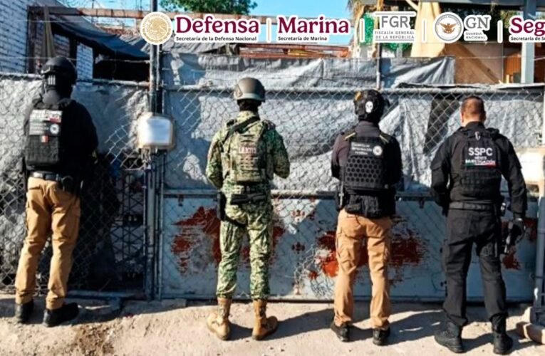 Cateo en Tijuana permite aseguramiento de drogas valuadas en más de 52 millones de pesos