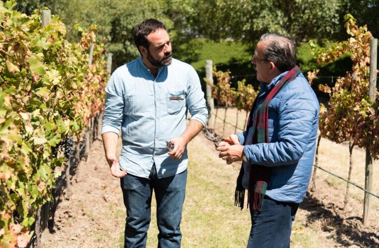 Galardonan a viñedo queretano como Bodega del año 2025