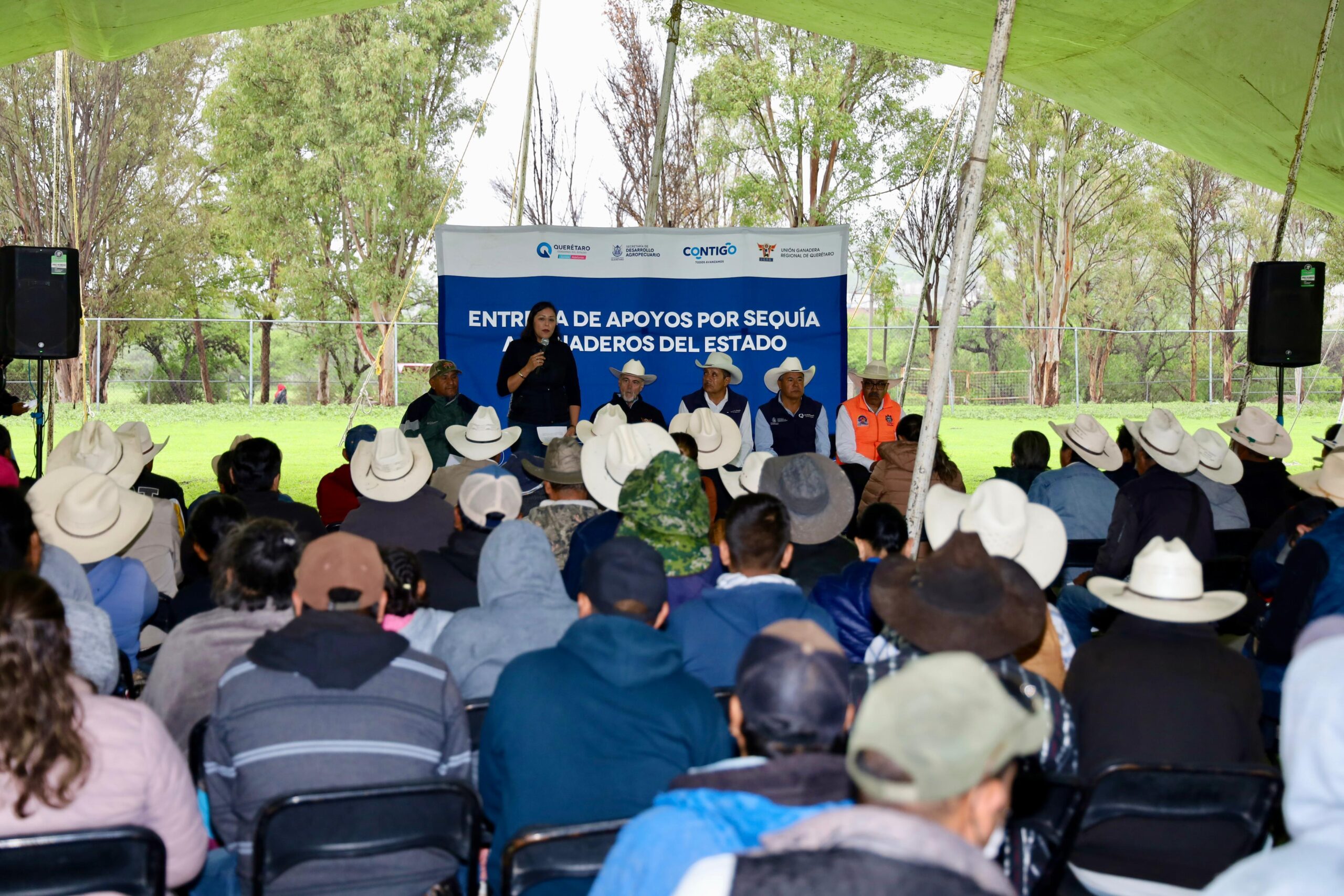 Ganaderos de Colón reciben 105 toneladas de alimento para más de 12 mil cabezas de ganado