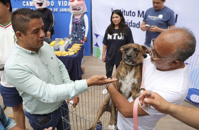 Corregidora inicia Jornada de Adopción “Cambiando Vidas”