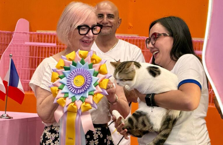 Récord de asistencia en Miau and Pets, Expo Mascotas y Cat Show 2025 en Querétaro