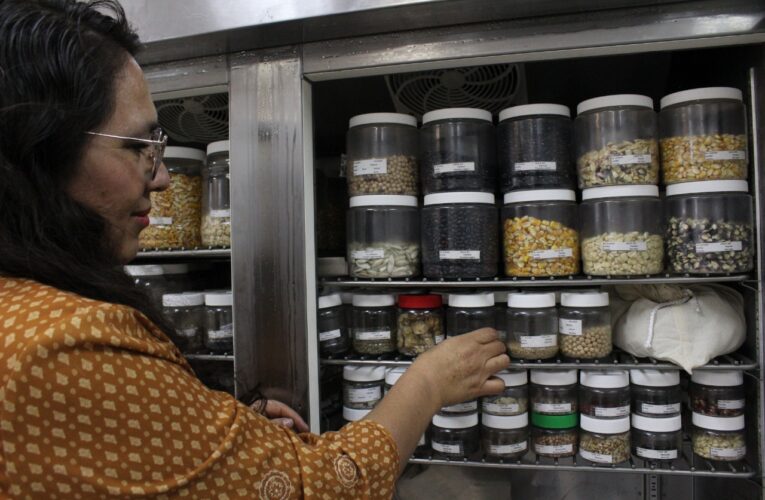 Preserva UAQ el patrimonio vivo de Querétaro con su Banco de Germoplasma