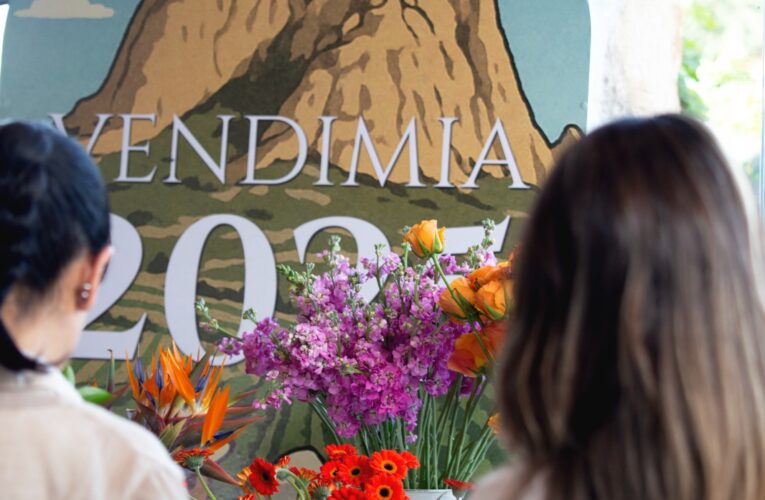 Vendimia PDLP 2025: Una celebración inolvidable entre vino, arte y naturaleza