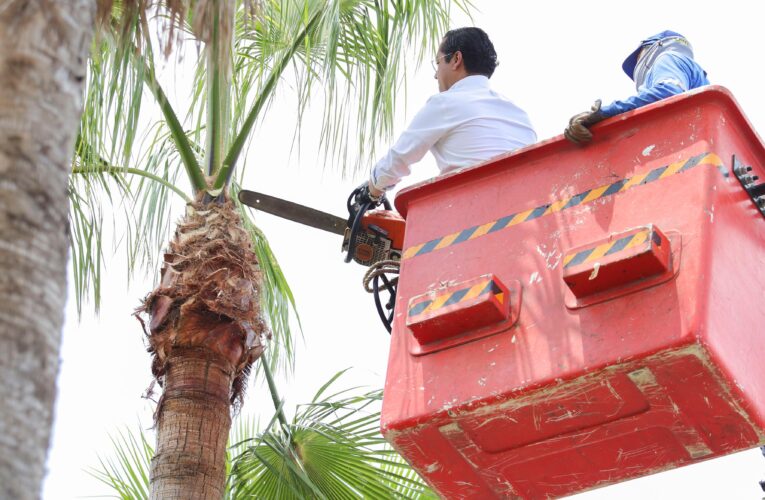 Corregidora acerca servicios municipales a familias que viven en régimen condominal