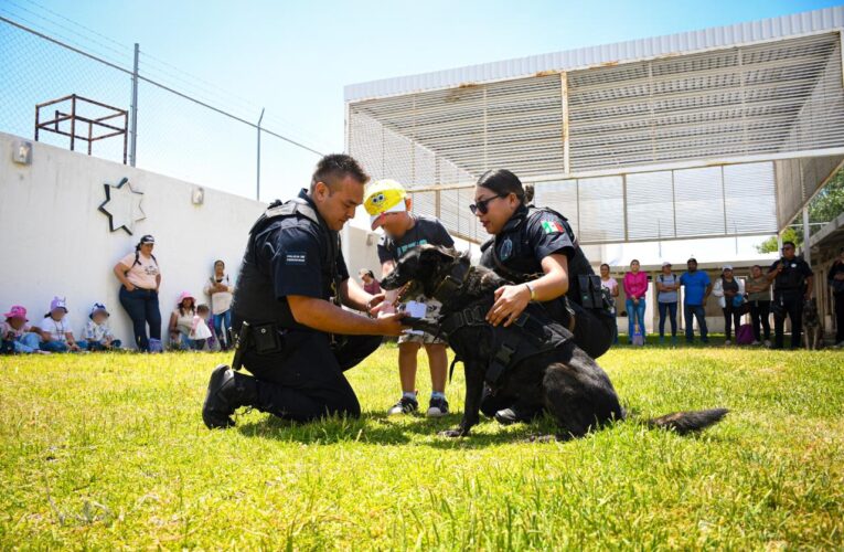 Niñas y niños de El Marqués participan en la “Brigada de un Verano Seguro”