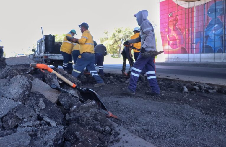 Brigadas Antibaches atienden reportes en Corregidora