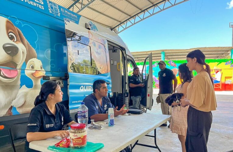 El Marqués despliega operativo veterinario en la Sierra Gorda para auxiliar a animales afectados por las inundaciones