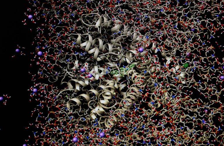 UAQ lidera innovadora investigación en anticonceptivos masculinos no hormonales