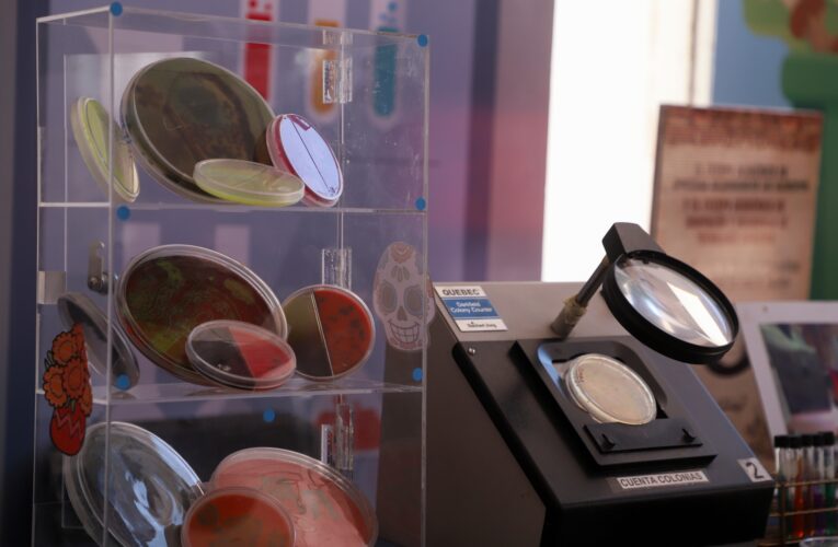 Expertos internacionales analizan los retos globales en inocuidad y seguridad alimentaria durante foro de la UAQ 🌎🥗🔬