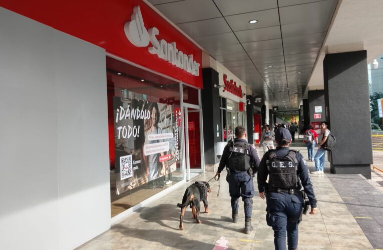Refuerzan seguridad en zona bancaria con patrullajes del GES y binomio canino