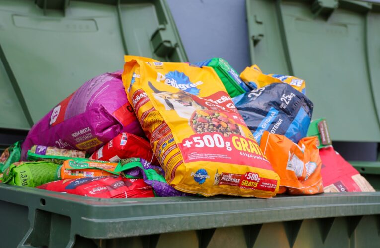 Arranca colecta “Abriga a tu Mascota” para apoyar a animales rescatados en Corregidora