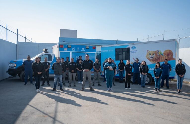 Reconocen a nivel internacional el trabajo del IMPA de El Marqués