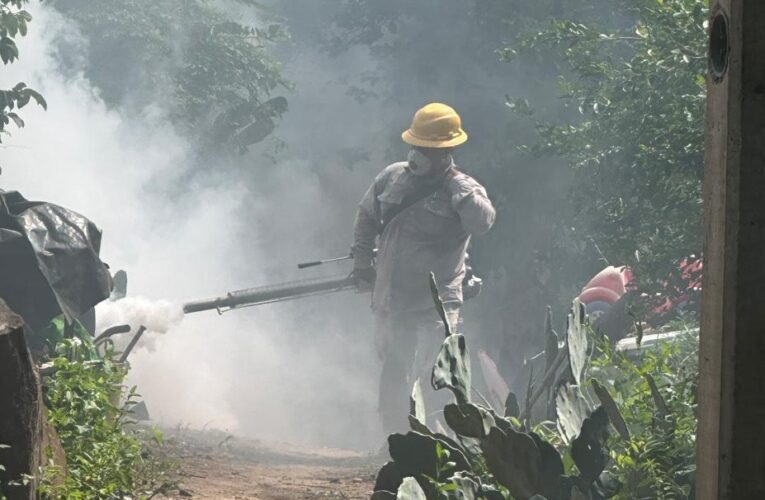 Refuerza SESA acciones de vigilancia epidemiológica y prevención contra el dengue en Querétaro