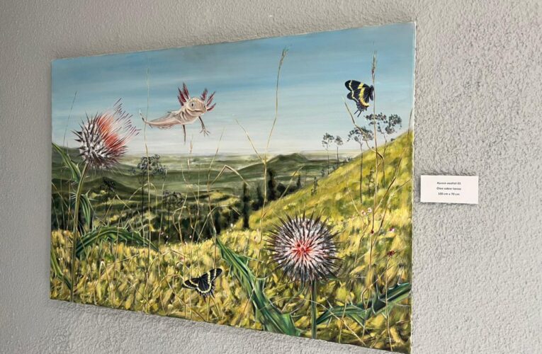 El Museo Comunitario de Pinal de Amoles recibe la obra del artista neerlandés Jasper de Gelder