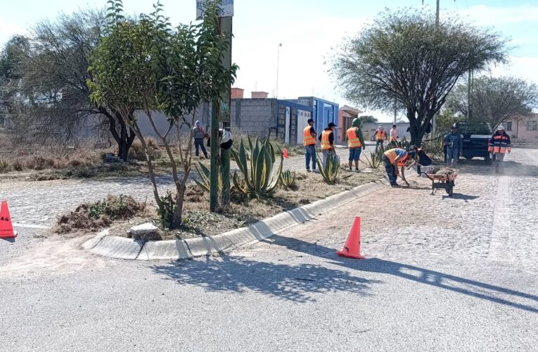 Impulsan trabajo comunitario en el Fraccionamiento Los Naranjos