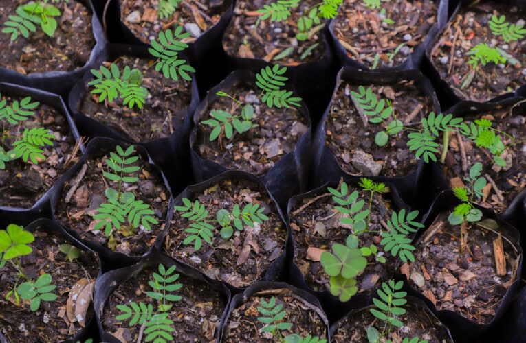 Firman UAQ y Universidad Autónoma Agraria convenio de colaboración en beneficio de sus comunidades