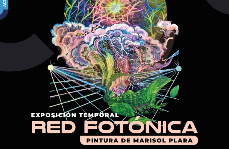 El Museo de los Conspiradores presenta la exposición “Red Fotónica” de Marisol Plara