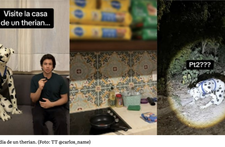 Vive como animal, trabaja como humano: la historia que divide opiniones