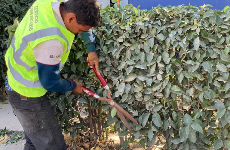 Fortalece Querétaro la Justicia Cívica mediante trabajo comunitario y mediación vecinal