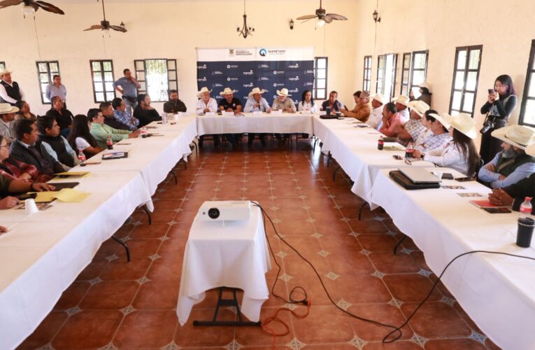 Refuerzan estrategia en el semidesierto para prevenir el gusano barrenador del ganado