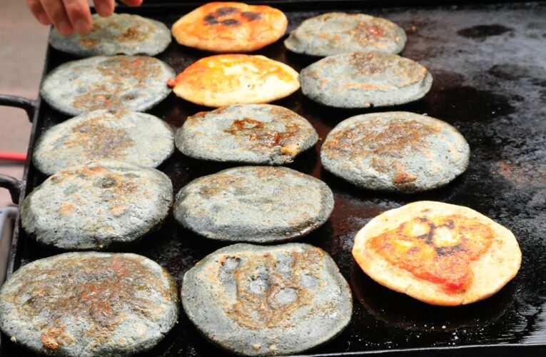 Colón se prepara para celebrar el Festival del Nopal, el Pulque y la Gordita 2026