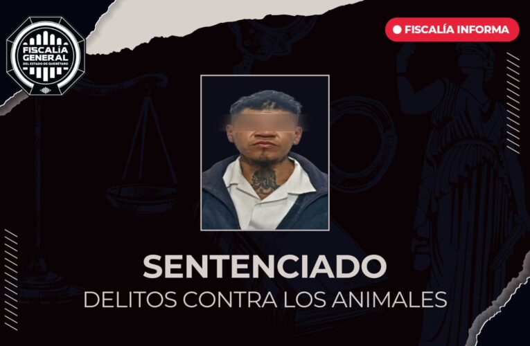 Sentencian a sujeto por maltrato animal en Querétaro; atacó a perrita con arma punzocortante