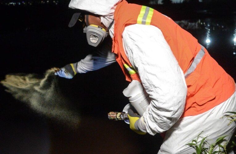 Municipio de Querétaro intensifica acciones contra mosquitos en Querétaro 2000 y alrededores