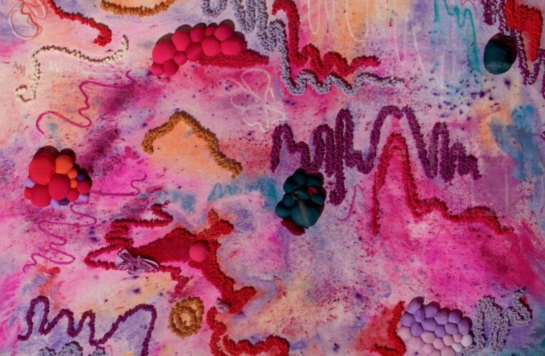 El Museo de Arte de Querétaro presenta la exposición “Recordar es volver a vivir”, una experiencia que une memoria, naturaleza y arte textil