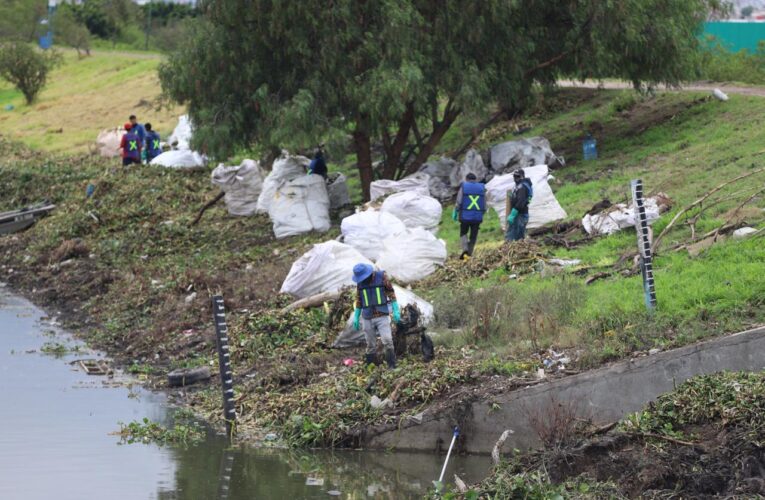 UAQ se suma a la recuperación ambiental del bordo Benito Juárez en el Parque Querétaro 2000