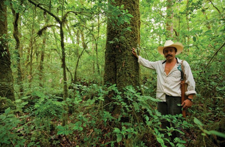 Grupo Ecológico Sierra Gorda celebrará 35 años de fomentar acciones para la conservación del medio ambiente